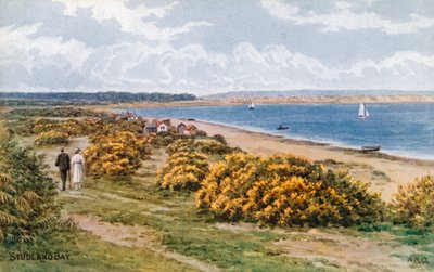 Baia di Studland da Alfred Robert Quinton